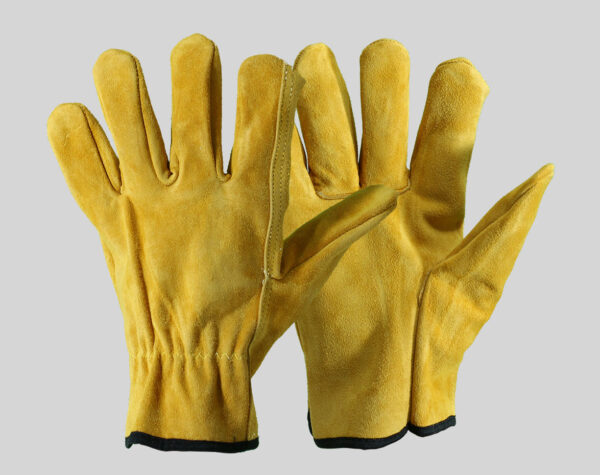 Driver Gloves | SKU DR 006