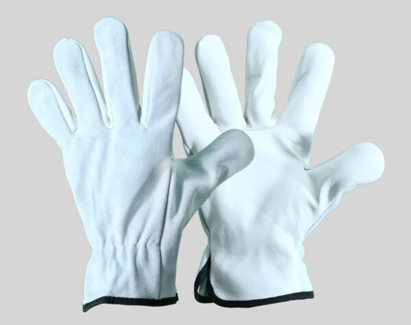 Driver Gloves | SKU DR 012